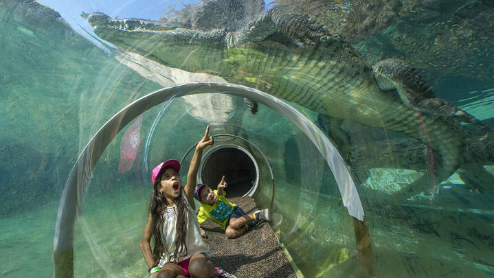 Zoo Miami