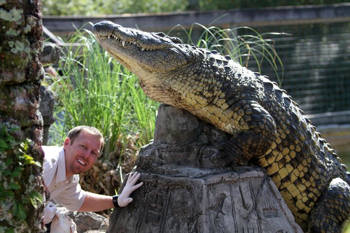 Entrenador con caimán en Gatorland, Orlando