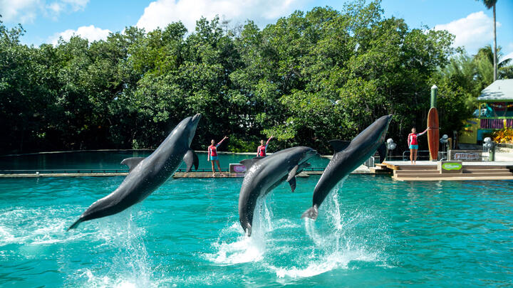 Seaquarium Blog