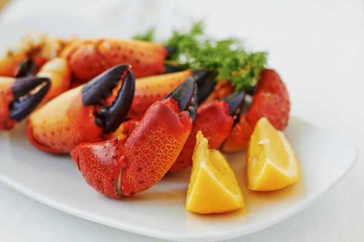 Jaiba mora o stone crabs