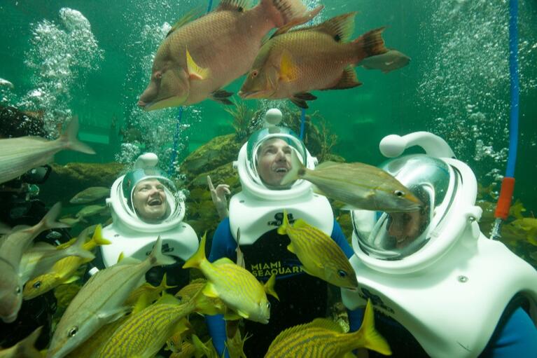 Miami Seaquarium Sea Trek