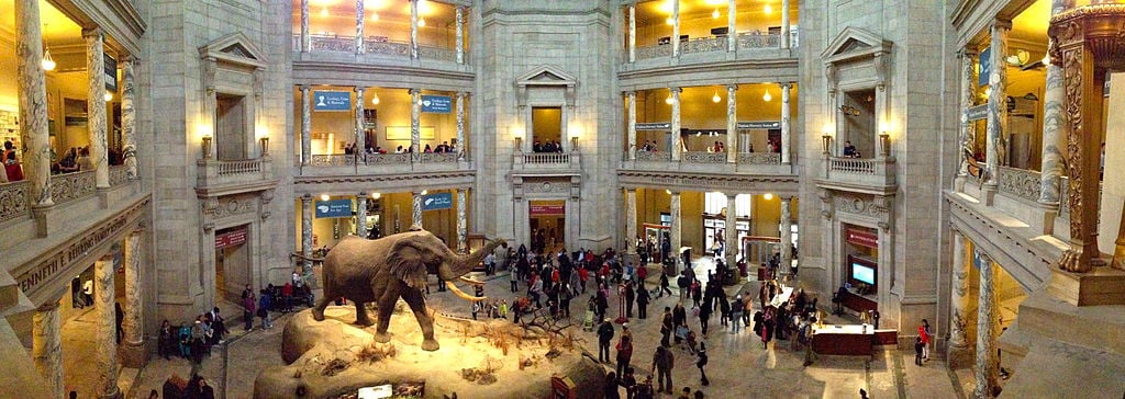 National Museum of Natural History Rotunda pano