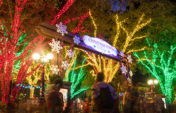 2017_BuschGardensTampaBay_ChristmasTown_ChristmasTownVillage_357x229