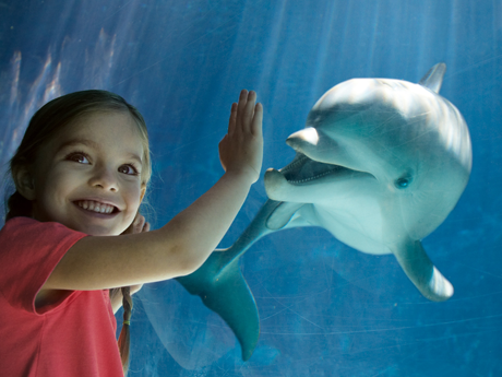 Image Credit: SeaWorld Orlando