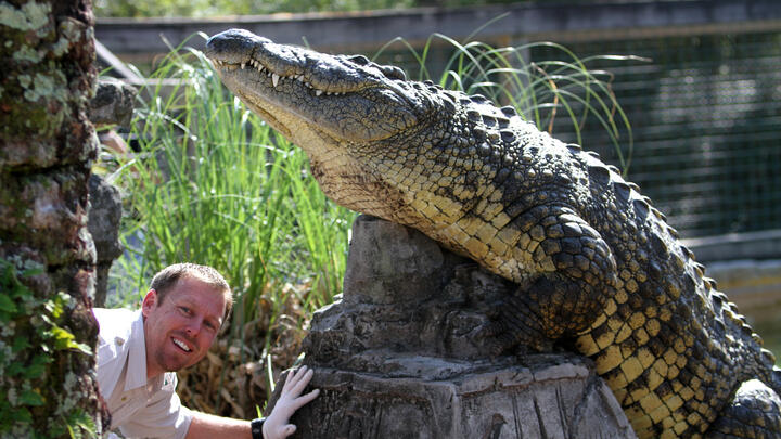 Gatorland