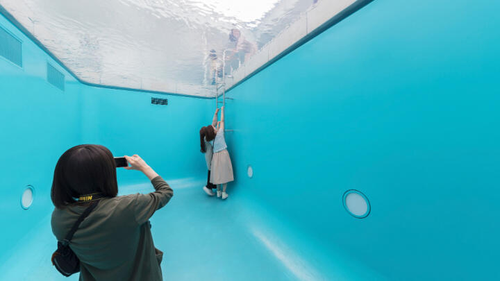 guide to the Museum of Illusions