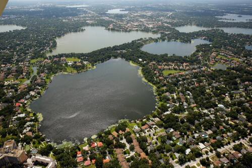 Orlando Winter