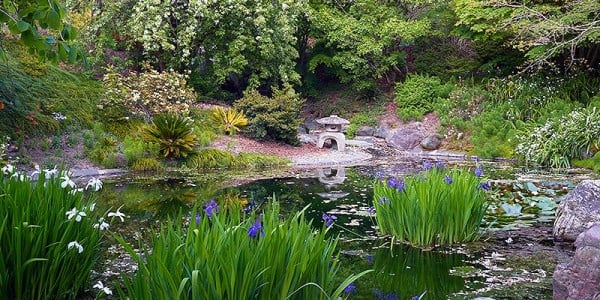 University-of-California-Botanical-Garden-1