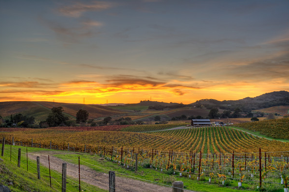 Gorgeous sunset over a California winery.