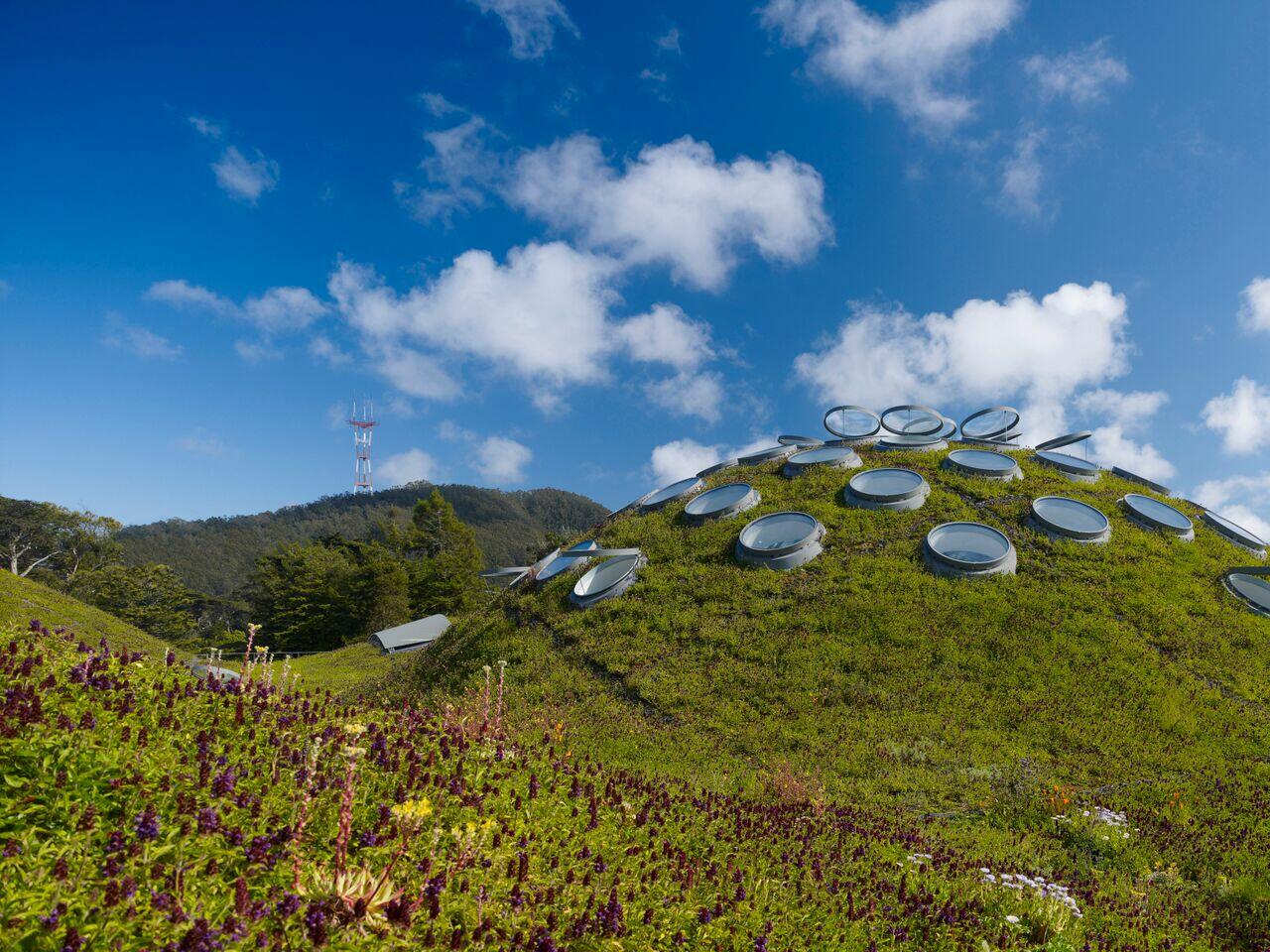 California Academy of Sciences Discount Tickets & Tips Save Up to 55 Off
