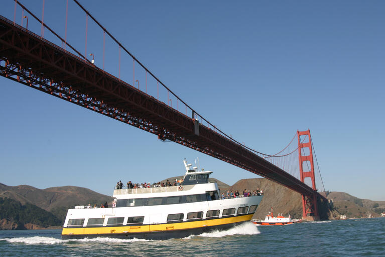 bay cruise