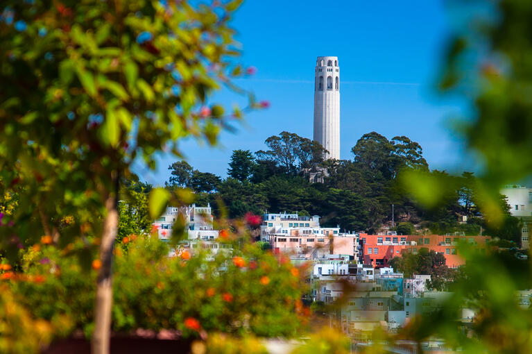 La Coit Tower, au sommet de Telegraph Hill