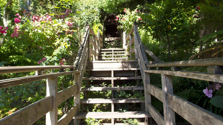 The Filbert Street Steps in North Beach, San Francisco