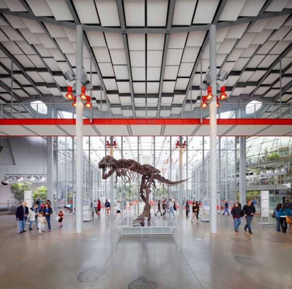 California Academy of Sciences Front Lobby