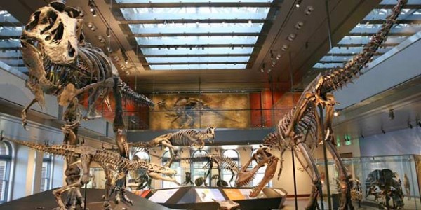 natural-history-museum-los-angeles-museums