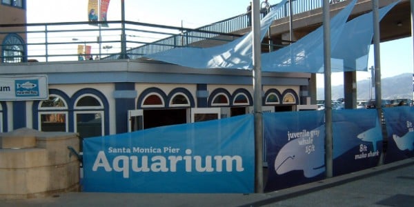 santa-monica-pier-aquarium