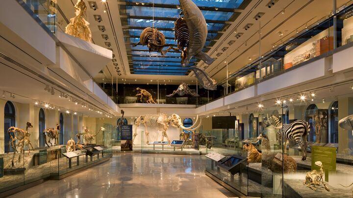 Natural History Museum
