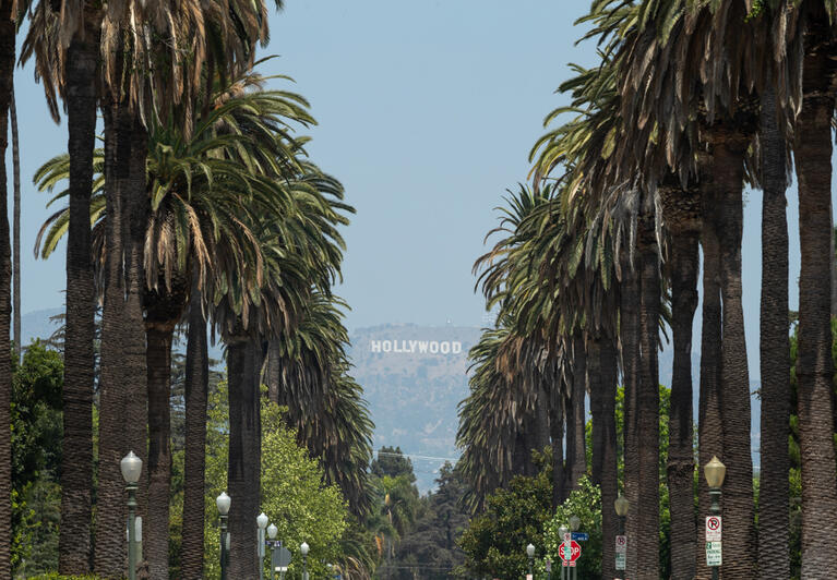 View down the avenues of Hollywood to the famous sign