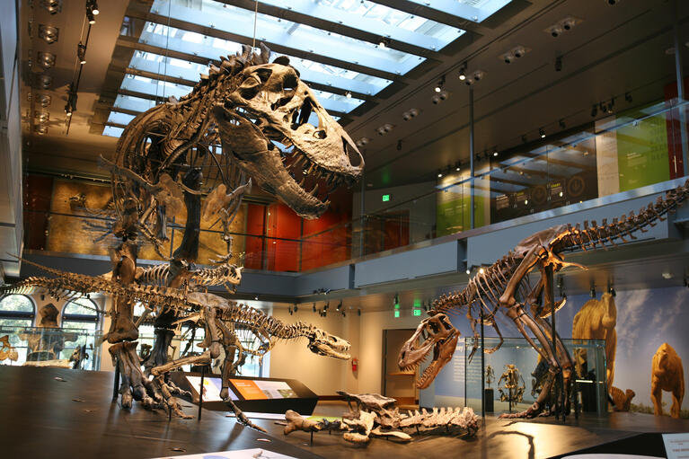 Natural History Museum