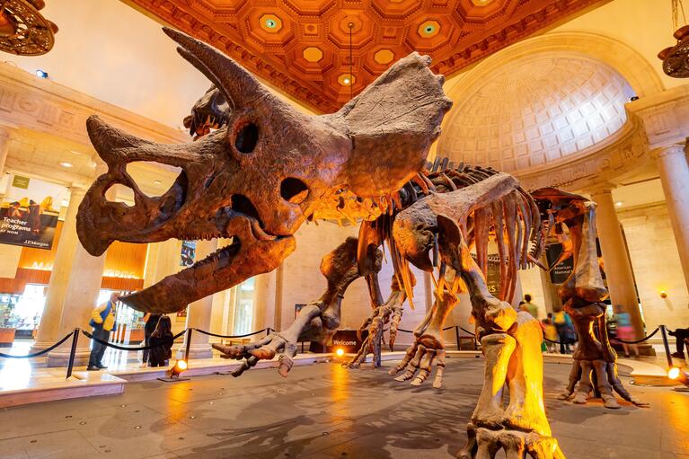 Au Musée d'histoire naturelle de Los Angeles