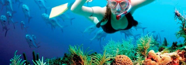 snorkeling at Puerto Morelos in Cancun
