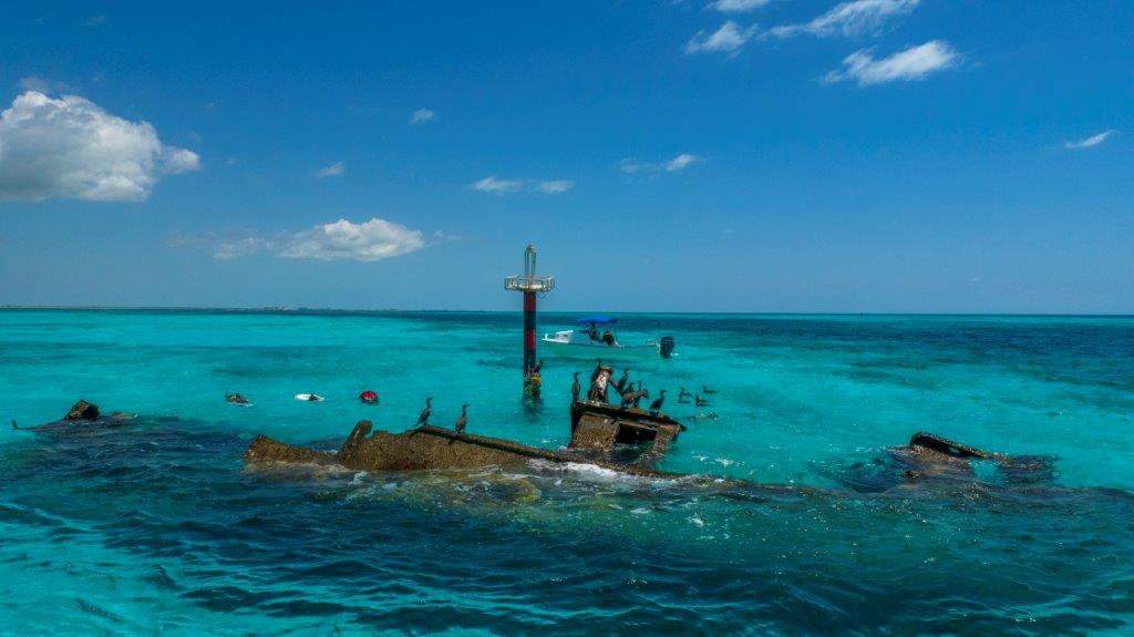 reef turtle shipwreck go city Cancun