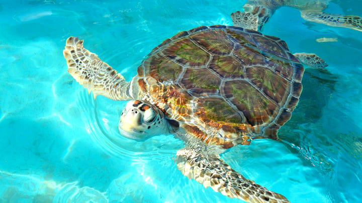 Cancun