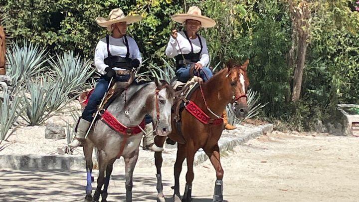 Two charros (Mexican cowboys) on horseback with traditional wide brimmed hats