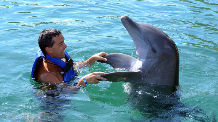 Things to do for Thanksgiving in Cancun