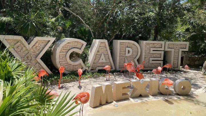 Stone sign for Xcaret Mexico surrounded by trees and flamingoes