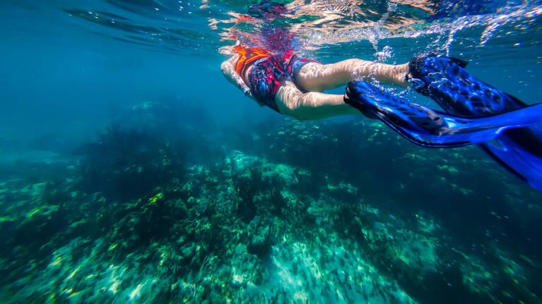 A snorkeler in the waters off Cancun