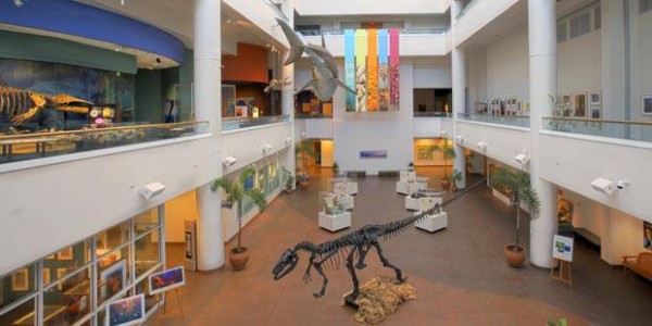 One of the best things to do in San Diego is visit the San Diego Natural History Museum