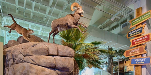 San-Diego-Natural-History-Museum-5