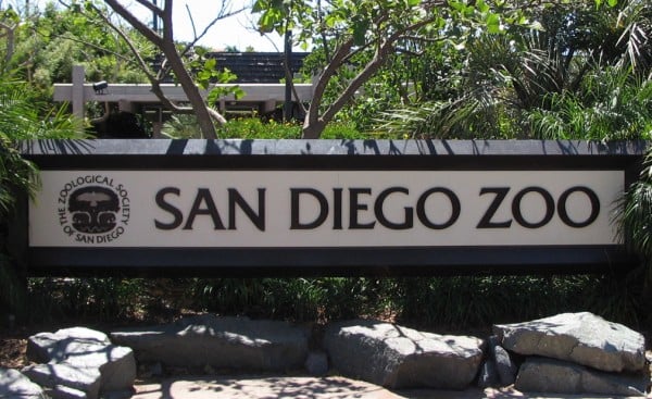 Welcome to the San Diego Zoo Insider's Guide