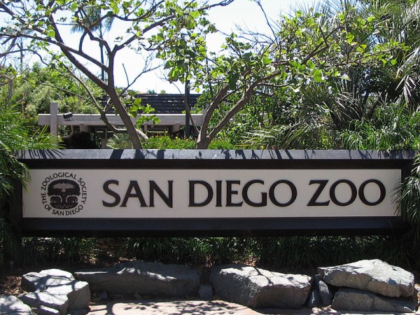 Best San Diego Zoo Coupons
