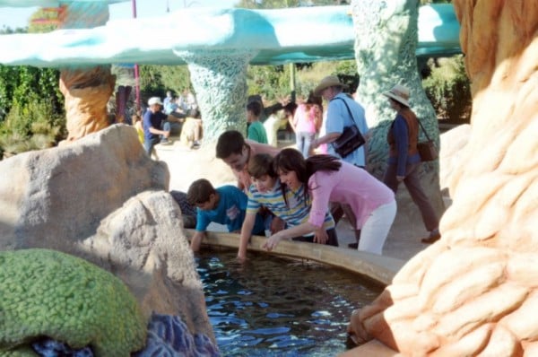 Guests interacting with the sea life in the Explorer's Reef exhibit at SeaWorld San Diego