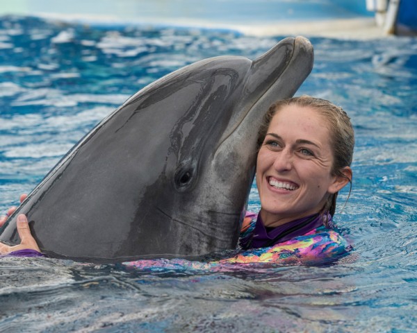 Photo credit: Mike Aguilera/SeaWorld® San Diego