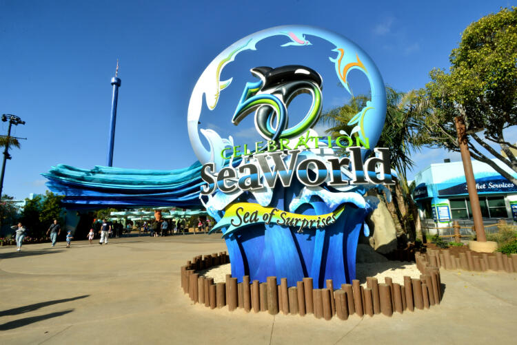 seaworld san diego quick tour