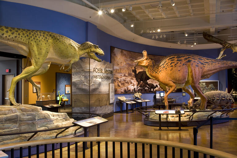 Natural Museum