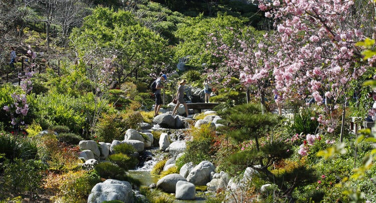 Japanese Garden