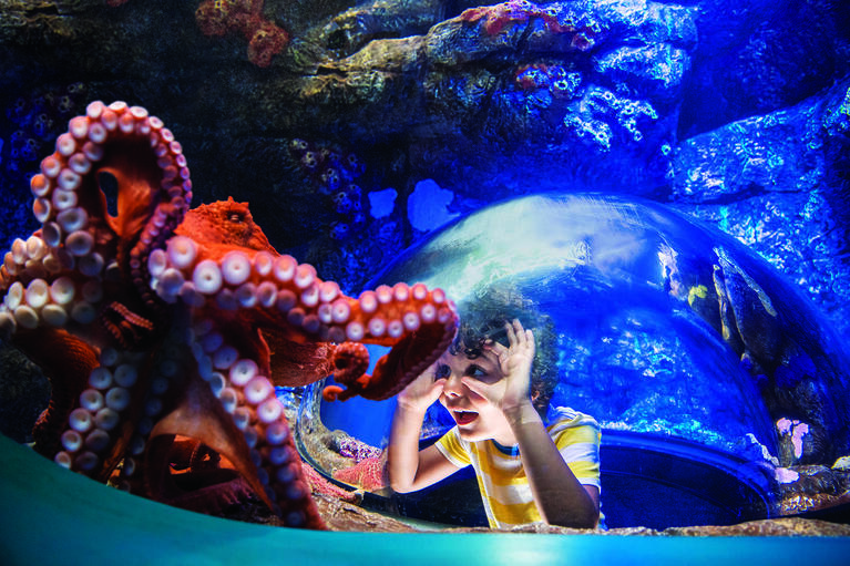 seaworld