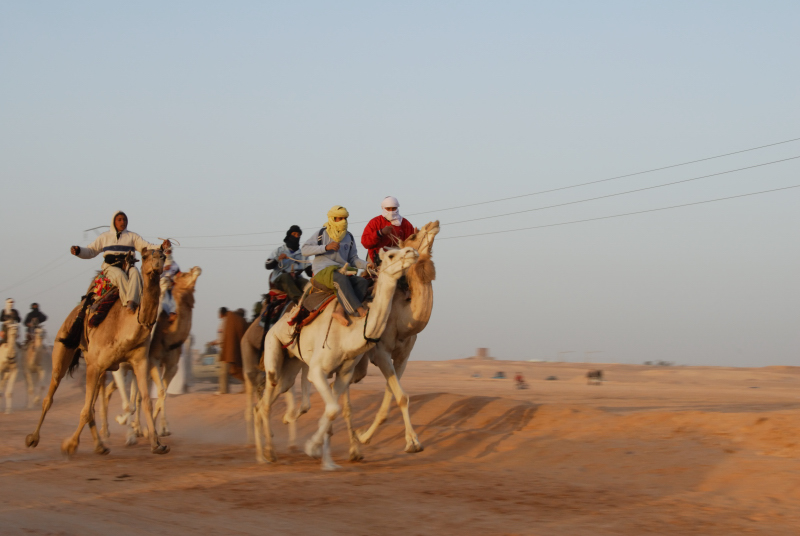 20070227 Camel Race in Ouargla