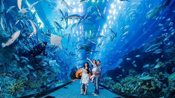 dubai aquarium