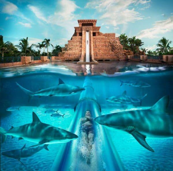 Aquaventure Waterpark Dubai
