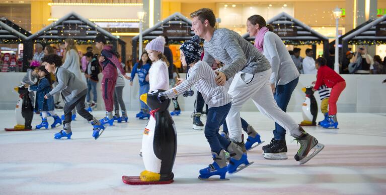 Ice Rink