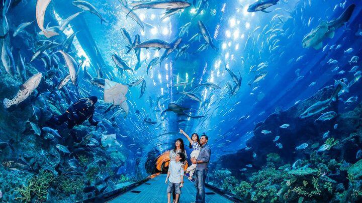 Acuarios de Dubái en Dubai Mall. Centros comerciales en Dubái.