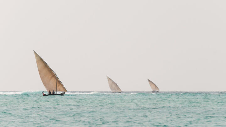 dhow race dubai