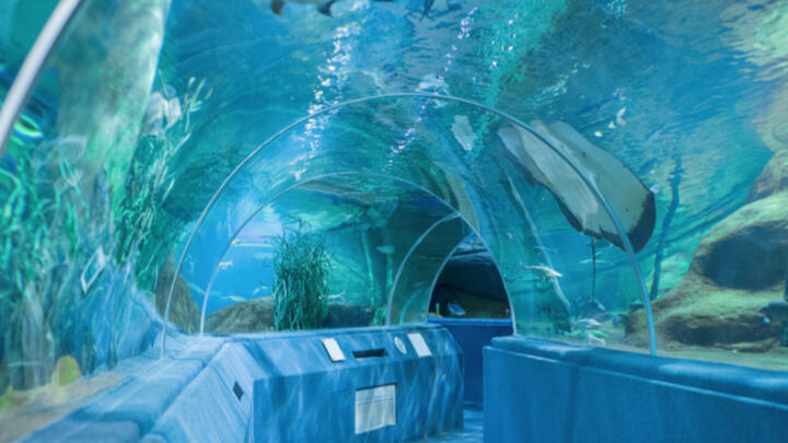 Things to do in Dubai When it Rains