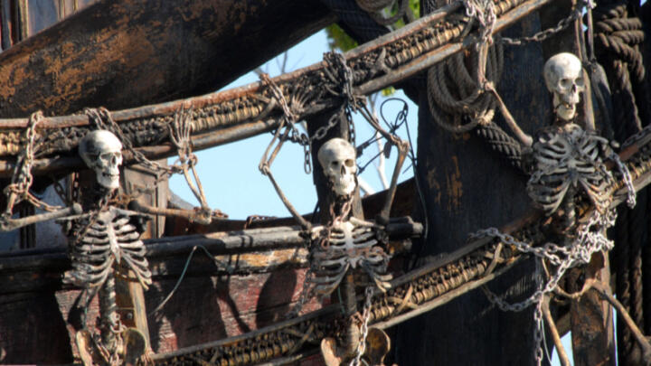 black pearl tour