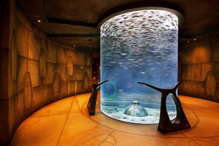 aquarium